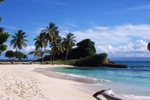 Bacardi island quiet beach with palm trees