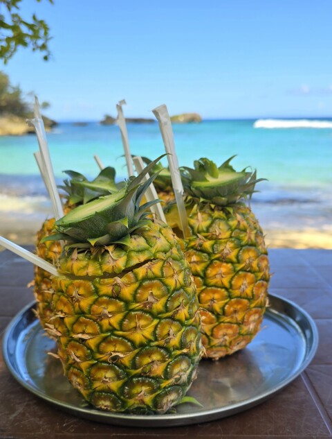 Pina colada served in a pina with the ocean in the back ground