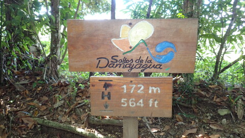 sign Saltod de la Damajagua, 564 feet above sea level