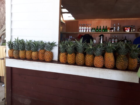 Samana with bar and fresh pineapple
