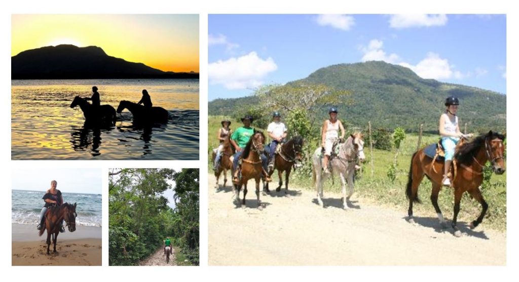 Horse riding in the mountain at the beach and with the horses in the ocean with sunset