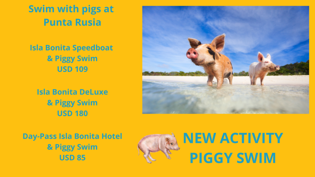 Swim with pigs at Punta Rusia - Dominican Republic